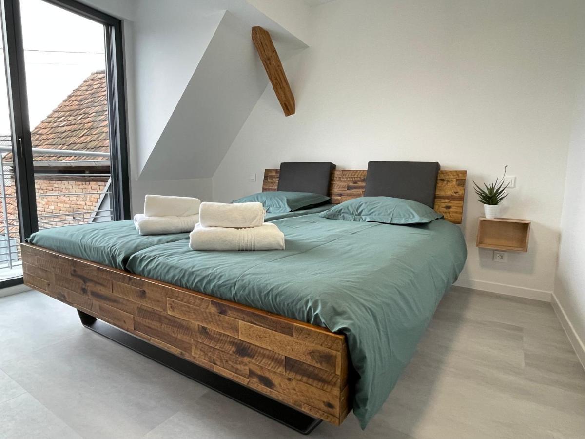 Les Duplex Solaires Apartment Duppigheim Luaran gambar